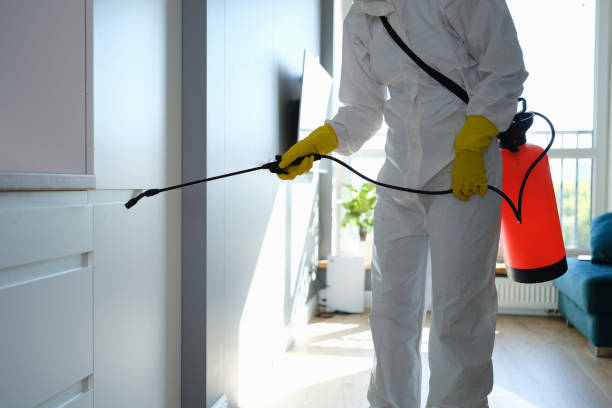 Best Home Mold Removal  in Neah Bay, WA