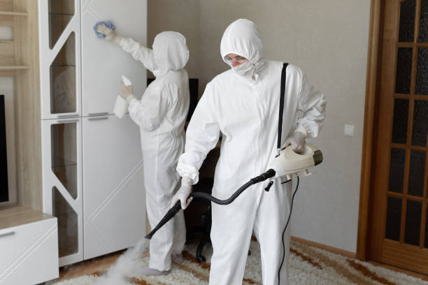 Best Attic Mold Removal  in Neah Bay, WA
