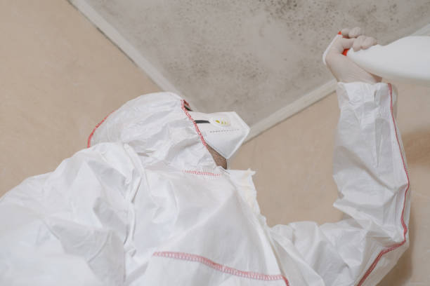 Best Local Mold Removal Service  in Neah Bay, WA